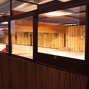 View of individual species enclosure