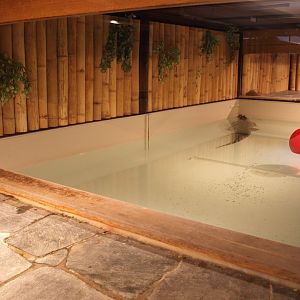 View of individual species enclosure