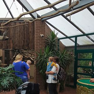 Xenartha House indoors