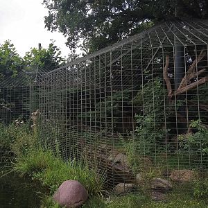 Jaguar Cage