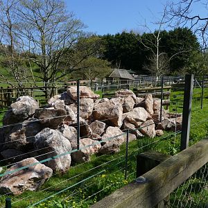 Something happening with the Savannah? 18 April 2018