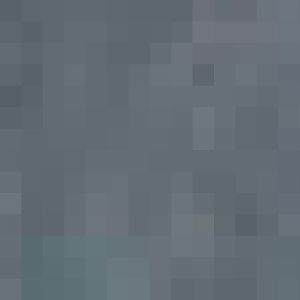 Australian Scrub Turkey