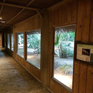 Komodo dragon-enclosure - Riviera Hall