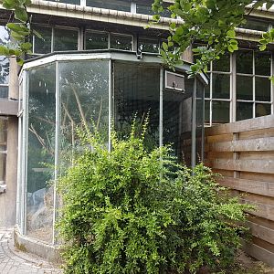 Former Cotton-top tamarin-enclosure