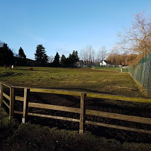Deer - Alpaca enclosure