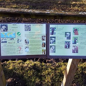 Alpaca-signs