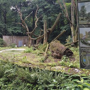 Spectalcled Bear Enclosure with attached development plan