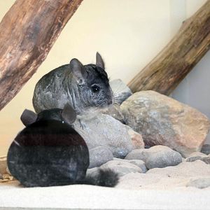 Chillin in the new pad