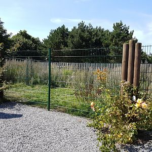 Enclosure Red-crowned crane