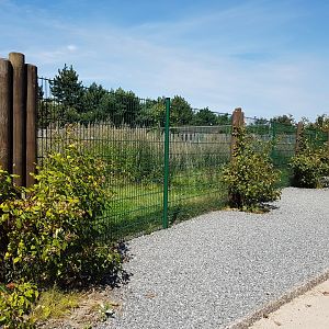 Enclosure Red-crowned crane