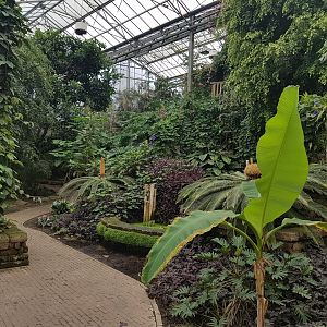 View into Tropical Hall