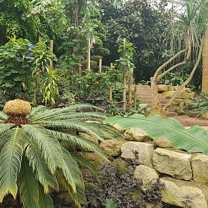 View into Tropical Hall