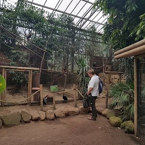 Aviaries in Tropical Hall