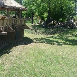 Feeding area and more