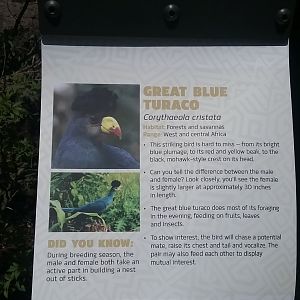 Aviary Sign 1