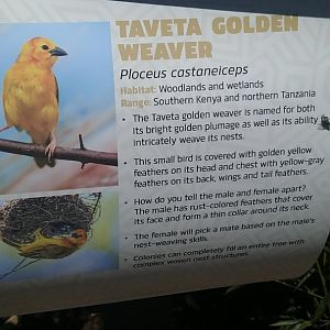 Aviary Sign 6