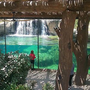 Underwater Viewing 2