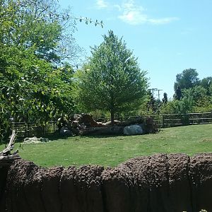 Rhino Paddock 2 again