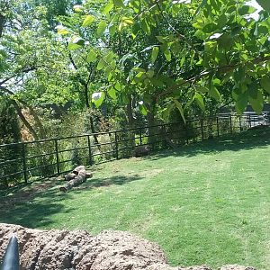 Rhino Paddock 2 once more