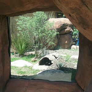 One of three meerkat viewing spots