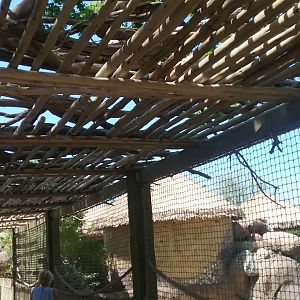 Staying in the shade