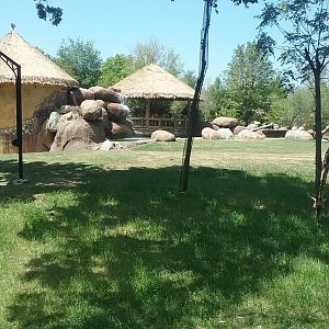 View of the Savanna Overlook