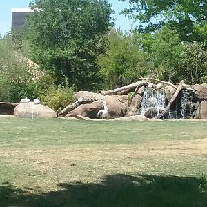 I was just over there