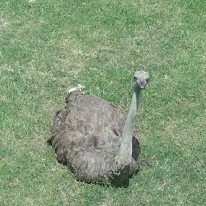 What're you lookin' at?