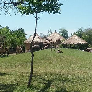 Just one more picture...