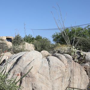 vulture aviary and kids lookout