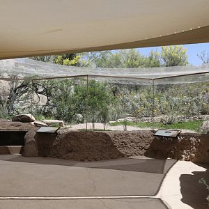 frog exhibit (wasted space?)