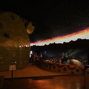 kids play area (interior)