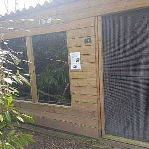 Cuban hutia-enclosure