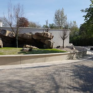 Gelada-enclosure still not in use