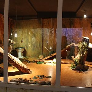 Burmese python-enclosure - with toilet