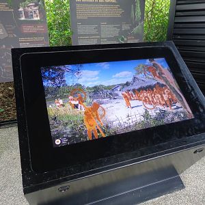 Interactive Display