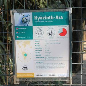 Sign Hyacinthine macaw