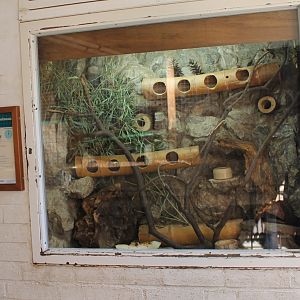 Enclosure Cretan spiny mouse