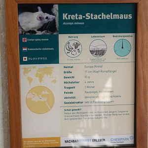 Sign Cretan spiny mouse