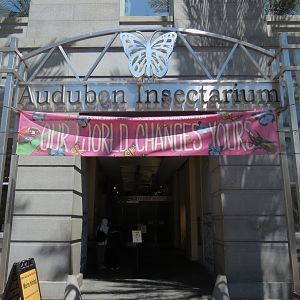 Exterior Entrance