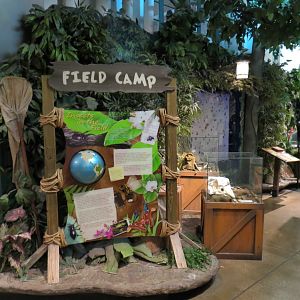 Field Camp