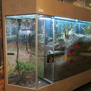Main Hallway - Leafcutter Ant Exhibit