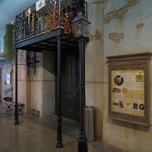 Insects of New Orleans