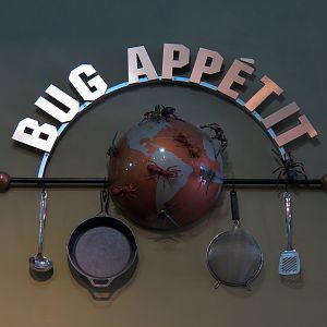 Bug Appetit - Sign