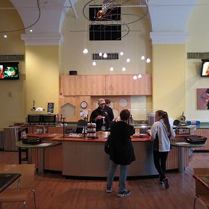 Bug Appetit - Kitchen Counter for Edible Insect Samples