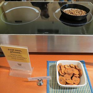 Bug Appetit - Edible Insect Samples