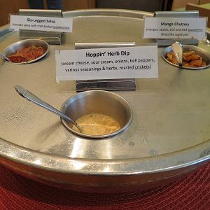 Bug Appetit - Edible Insect Samples