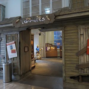 Termite Gallery - Entrance
