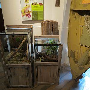 Bait Shop - Amphibian Exhibits