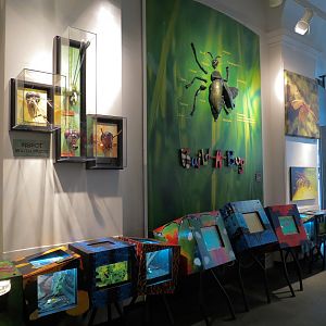 Success Stories Gallery - Interior